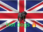 Dog hots
