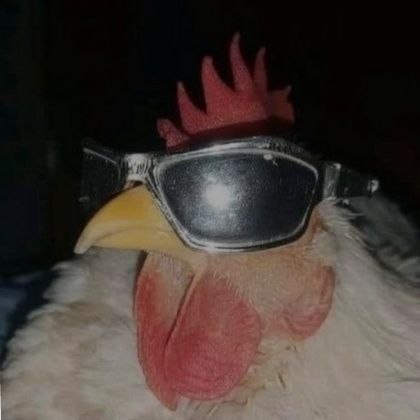 extremely chill rooster pfp Roblox item