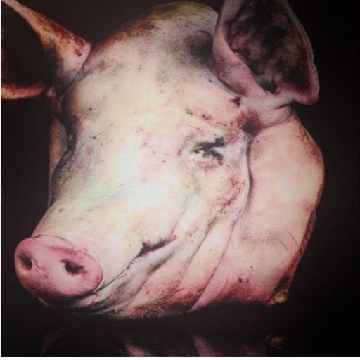 [FIX] [REMAKE] Побег от CBINTUSA!🐷