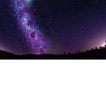 Starry_Pups