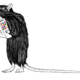 Survival the rat the killer!