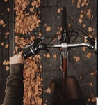 ~ Music ~ Fans ~