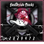 ZE DUCK ARMY