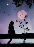#My kitties
