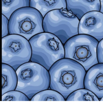 Blueberry LOL