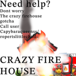 Crazy Fire House
