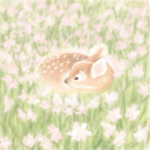 lace ୨୧