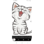 I GATTI DI NOE