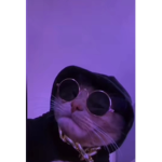 Cool cat people