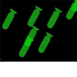 Zombie Pretection Army