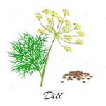 Dill Dynasty Games