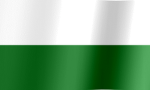 army of saxon kingdom