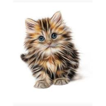 Team Cat Army