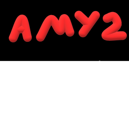 the amy