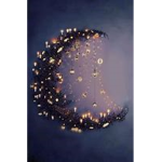 -ᴛʜᴇ ʟᴏᴠᴇ ꜰᴏʀ ᴍᴏᴏɴs-