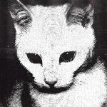 quarenta
