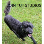 Tut studios