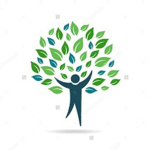 Silver Wood
