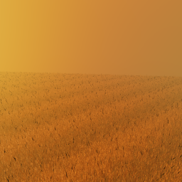 NEEDLE IN A HAYSTACK