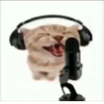 zone goop