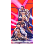 Stray kids squad