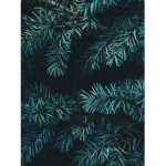 Winter and summer Group