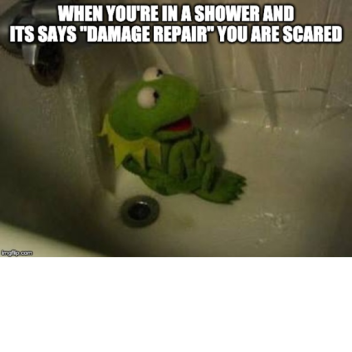 Cool Dog Memes - when your dog sits in you