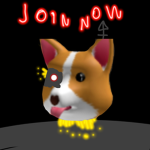 Corgis fun and entertainment