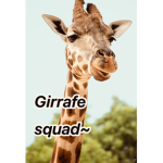 Girrafe sqaud!