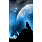 WolvesBro