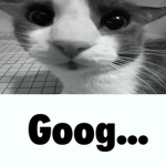 Goog Development INC.