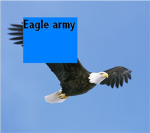 eagle army of roblox
