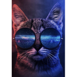Cool-_- cat