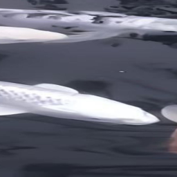 ゆ