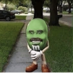 SELECTI0N
