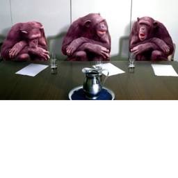 MONKE MEETING PLACE