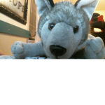 gamer wolves pack
