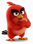 ANGRY BIRD IS ALWAYS ANGRY