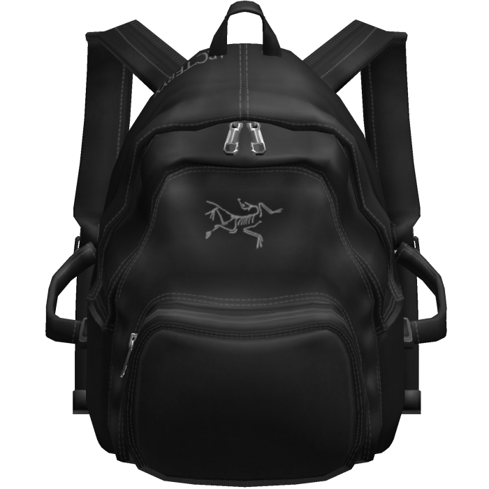 Street Black Backpack