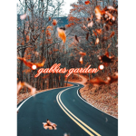 Gabbies Garden