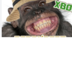 Monkeyandbirds