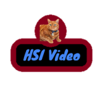 HSI Hjsantoro Studio Inc