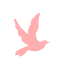 Pink Parrot Gamеs