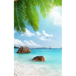 Etheral Beach 🏝️🏖️