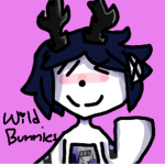 Wild Bunnies