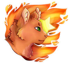 🔥Flaming catz Stars🔥