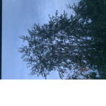 Happy sky