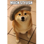 :+: doge fashion :+: