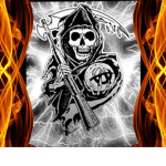 THE son of Anarchy