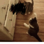 mihxxet